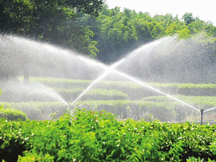 节水灌溉案例